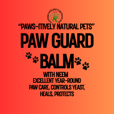 Paw Guard Balm- Medicated Dog Paw Balm (summer paw protection)